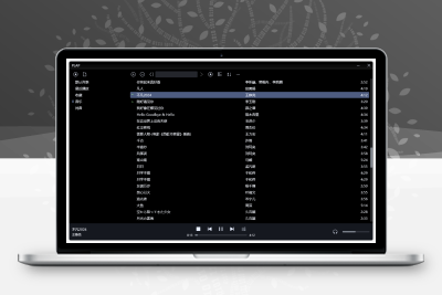 纯粹的无损音频播放器 PLAP | Pure Lossless Audio Player （v1.0.01）-梓帆博客